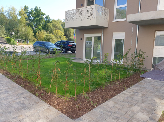 moderne 2-Zimmer-EG-Wohnung *** gehobener Ausstattung *** top- Lage *** barrierefrei